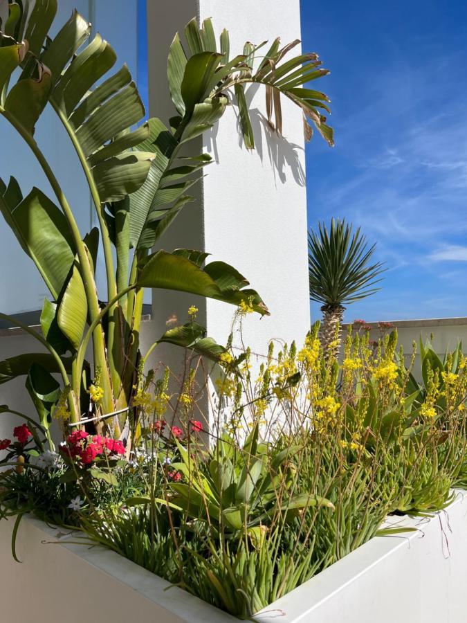 Sky Garden Leilighet Polignano a Mare Eksteriør bilde